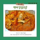 인천 송현동 맛집 칼칼한 묵은지 닭볶음탕 대박 백마강닭고을 포장후기