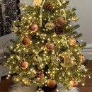 트리트리 이미지