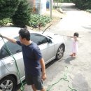 서유목장 | 대관령 하늘동산 자생식물원 / 용평리조트 썸머쿨페스티발