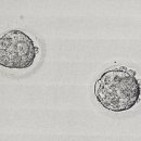 궁산부인과의원 이미지