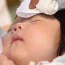 두손모아 반딧불이 이미지