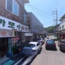 가로수회관 이미지