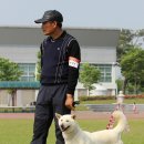 백장미