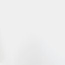 아로니아 이미지