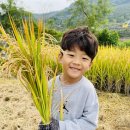 동성럭키유치원 이미지