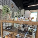헤이까눌레