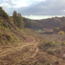 영주 태양광발전소 이미지