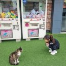 금화경로당 이미지