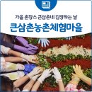 백연지녹색농촌체험휴양마을 | 가을 촌캉스 큰삼촌네 김장하는 날 &#39;큰삼촌농촌체험마을&#39;