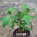 은진목장 이미지