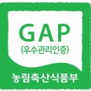 그린농장 | 청도 GAP 농장(꿈그린) 방문 후기[고신대학교 식품영양조리학부]