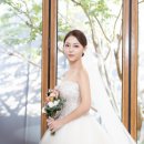 다미아떼&오마쥬 이미지