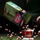 시온DIGITAL 이미지