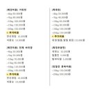 도그랭 강아지놀이방 이미지