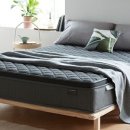 레이디폼 이미지