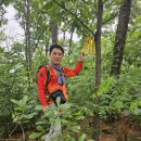 26.5.12(화)구미봉화산.뒷고개.널뫼산.황산.진등산.백마산.부래산.파산.화개산.개똥산.접성산.봉화산.봉한리16.4km5시간30분 이미지