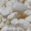 쌀누룩 전문가 양성과정 후기
