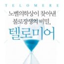 상이앤나 이미지