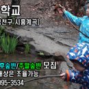 가까운숲
