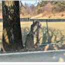 쌍이리귀바위 이미지