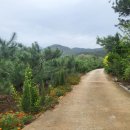 용진농장 이미지