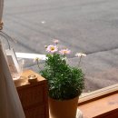 장원오리백숙 매생이국밥 | 3월 소비 일기