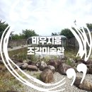 바우지움 조각 미술관 | 속초 가볼 만한 곳 건축과 예술, 자연이 어우러진 바우지움조각미술관