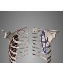 BODY愛(바디애) 이미지