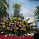 호산나교회 이미지