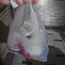 삼미국시 | 대만 타이페이 삼미식당 대왕 연어초밥 포장 후기 (+웨이팅 팁)