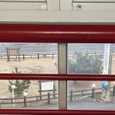 바다의별팬션 | 제주 바다의 향기 펜션 내돈내산 솔직후기(명예훼손으로 리뷰 삭제하는 곳)