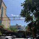 감자서리 | 감자탕 러버의 찐맛집 찾았습니다! 충주 목행동 ‘감자서리’ 내돈내산 후기