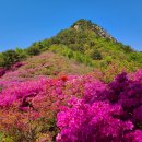 5월7일 목요일. 경남 거창. 철쭉빛 붉은 물결 어우러진 아기자기 암봉의 '월여산' '재안산'. 이미지