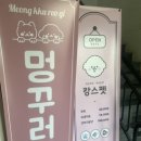 캉스펫 이미지