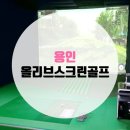 올리브스크린골프 이미지