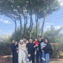 안월선 민박 코리아, 제주 이미지