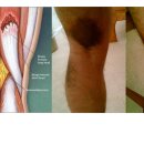 홍익외과의원 이미지