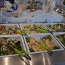 뽀뚜루까아저씨 이미지