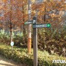 송파구 한성백제왕도길 이미지