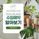 플로리다 농장 | [공지] 테구 아일랜드(TEGU ISLAND) USCB 테구 수입 리스트 [2025.06.23]