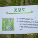 포남1동 이미지