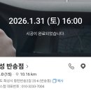 소낙스 | 소낙스 카케어 화성반송점 동탄 손세차 내돈내산 후기 대만족