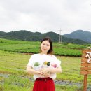 프론티어 식품 이미지