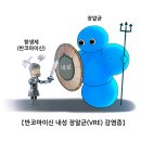 반코마이신 내성 장알균(VRE) 감염증 이미지