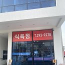 법인하누 이미지