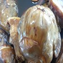 금포농장 | 엄마텃밭꾸러미-열 두번째 배송