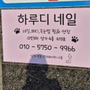 하루디네일