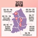 원더매직 과학마술콘서트 이미지