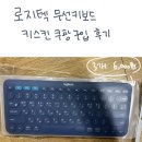 로지텍 블루투스 키보드 키스킨 쿠팡 내돈내산 구입 후기 키스킨 사이즈 추천