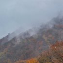 영남 행정사사무소 이미지